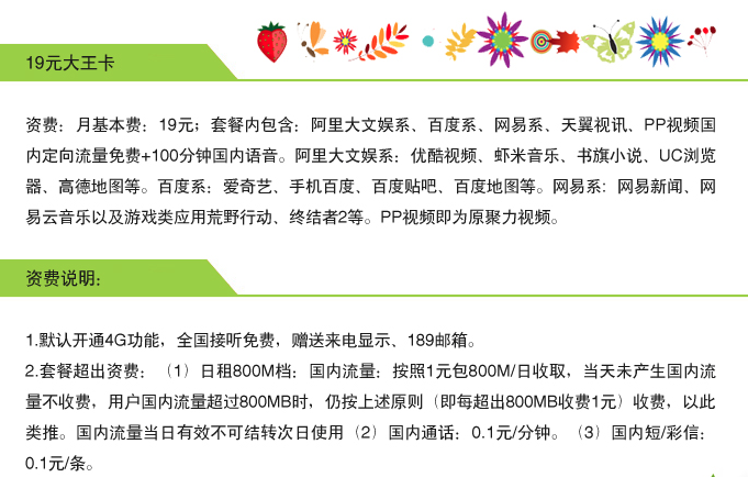 长春电信视频大流量大王卡套餐资费表 电信视频大流量19元大王卡100分钟+ 40G(阿里百度网易定向流量)